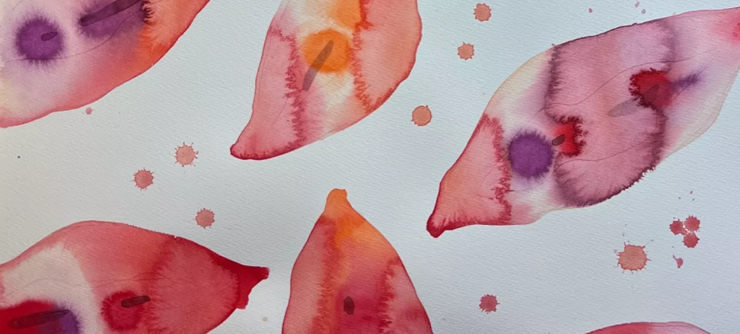 Vulva Ina 