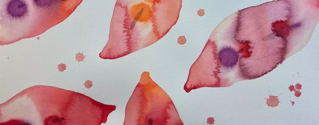 Vulva Ina 